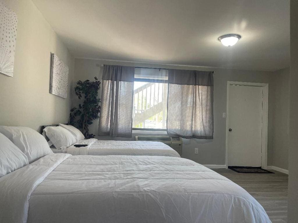 Double Room with Two Double Beds room - Image 2