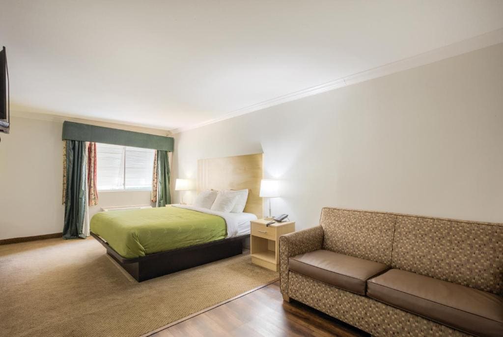 Suite - Non-Smoking room - Image 1