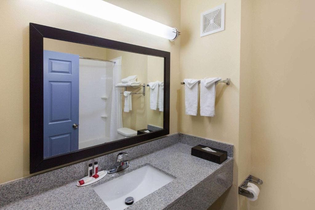 1 King Bed, Accessible Rolling Shower, Non Smoking room - Image 3