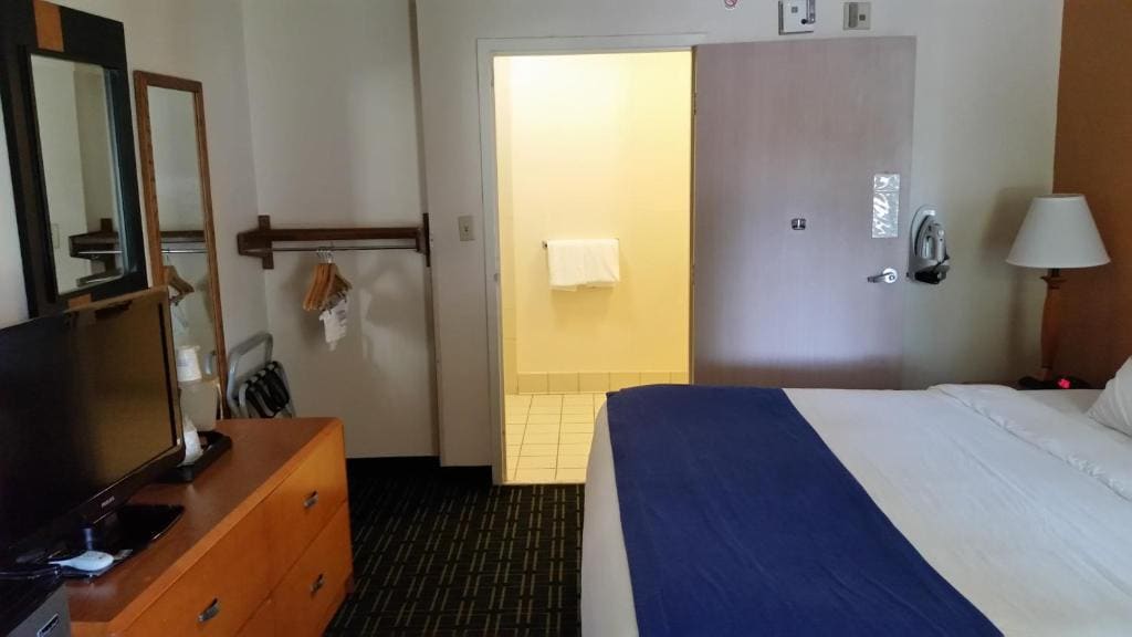 King Room, Disability Access, Non-Smoking room - Image 3