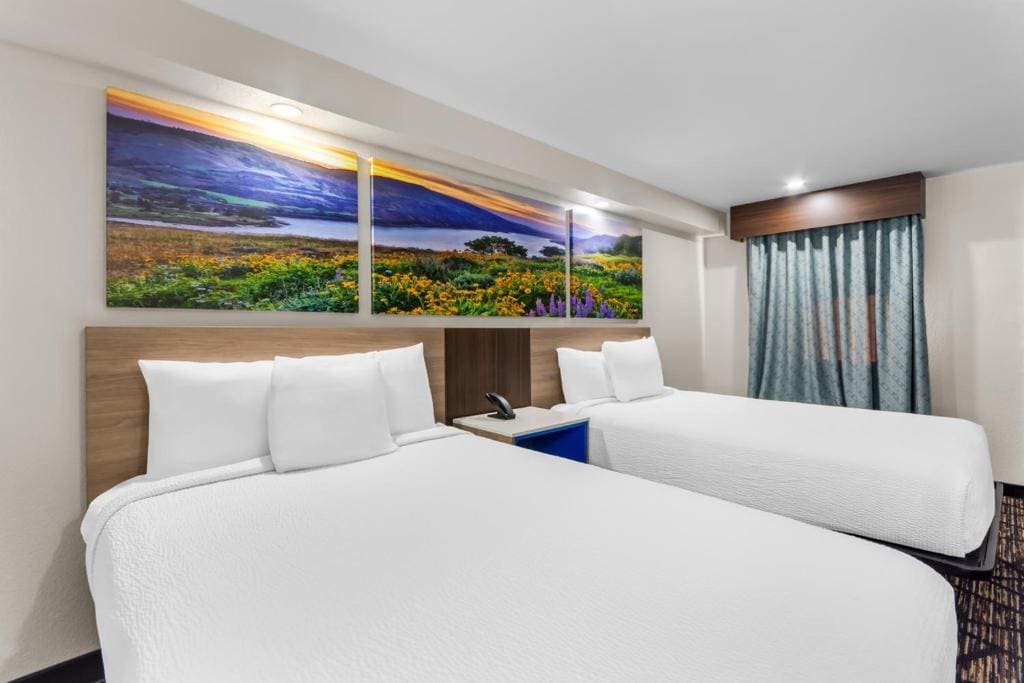 Double Room with Two Double Beds - Mobility Accessible/Non-Smoking room - Image 1