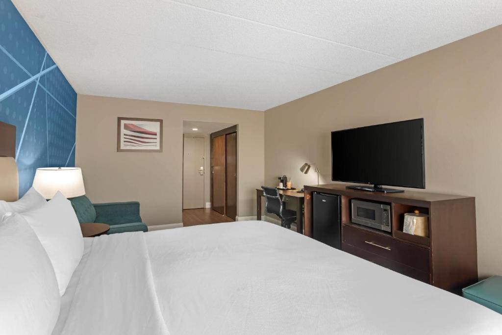 King Suite - Non Smoking room - Image 1