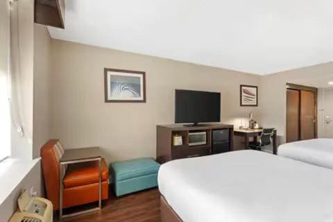 Queen Room - Non-Smoking room - Image 1