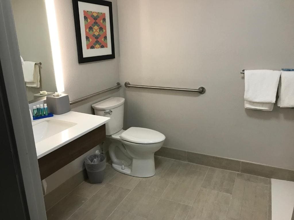 Standard King Room with Roll-in Shower - Mobility Accessible room - Image 2