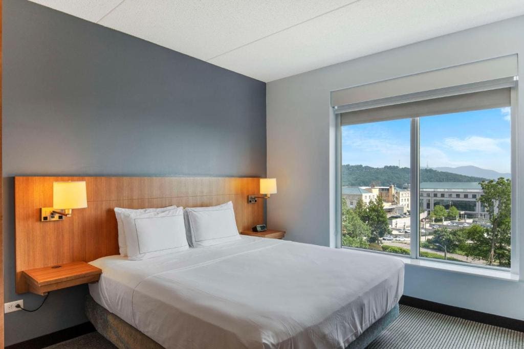 King Room with Mountain View room - Image 1