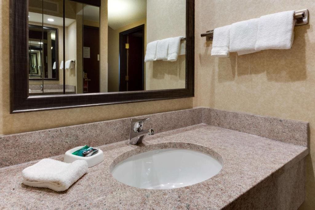 Deluxe King Room - Accessible, Roll-in Shower room - Image 3