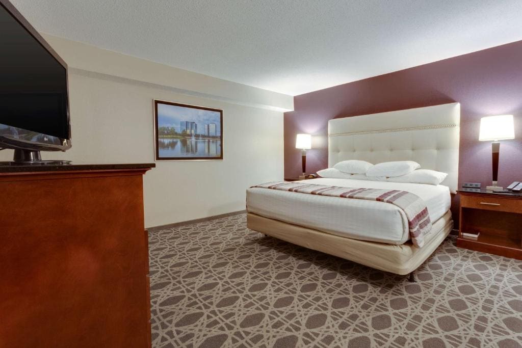 King Suite with Sofa Bed room - Image 1