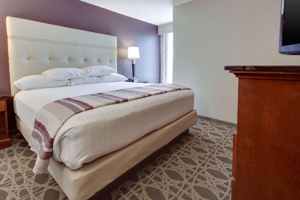 King Suite with Sofa Bed room - Image 2