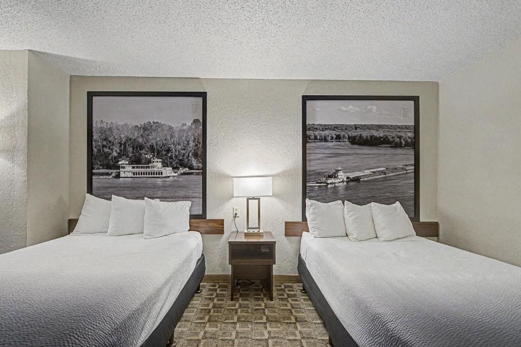 Deluxe Double Room with Two Double Beds - Non-Smoking room - Image 3