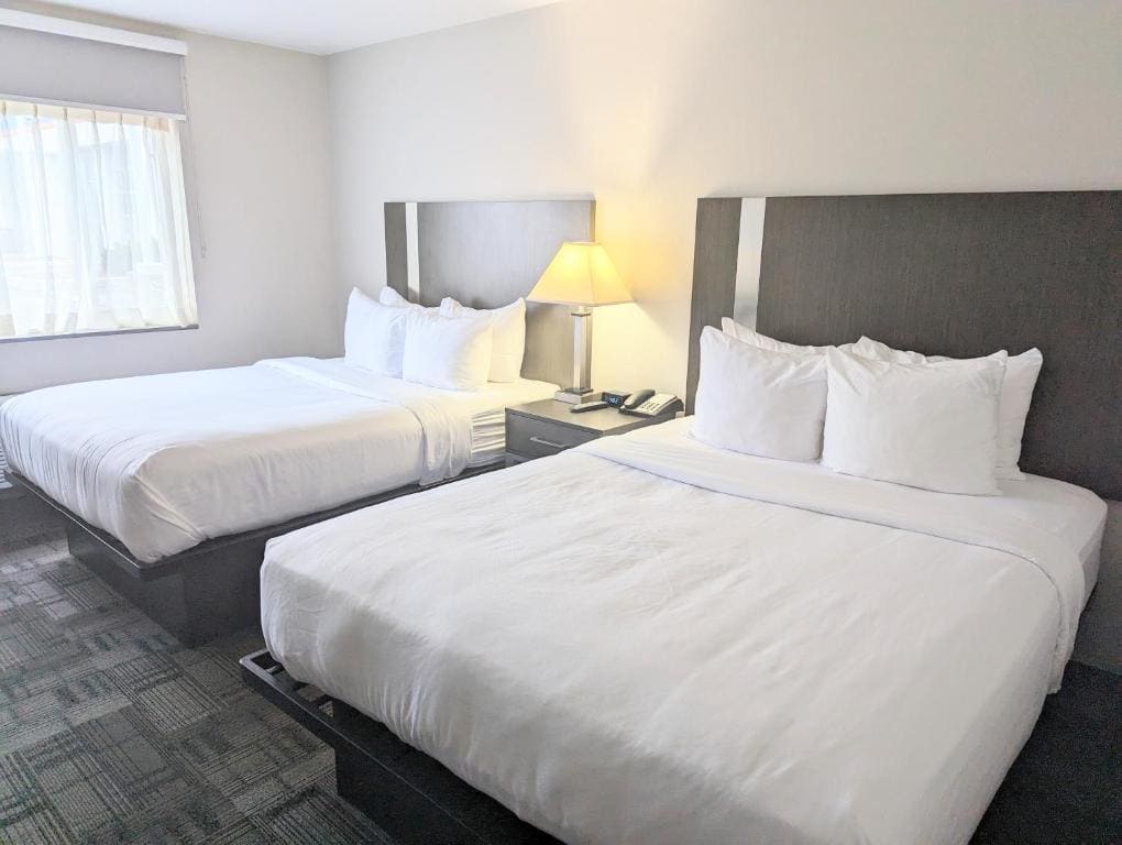 Studio Suite with Two Queen Beds - Non-Smoking room - Image 2