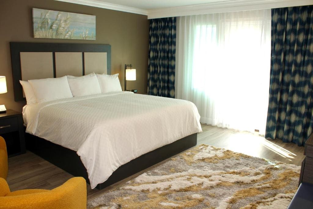 King Room - Non-Smoking room - Image 1