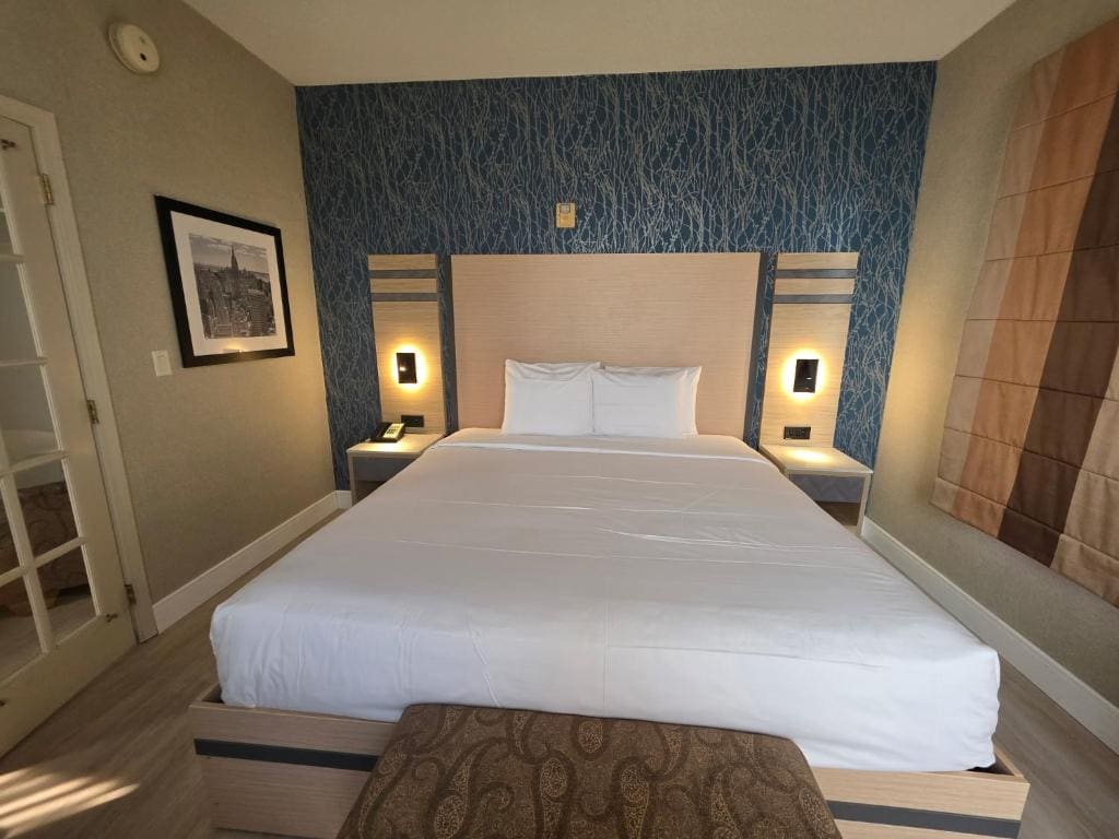 Executive Suite room - Image 3