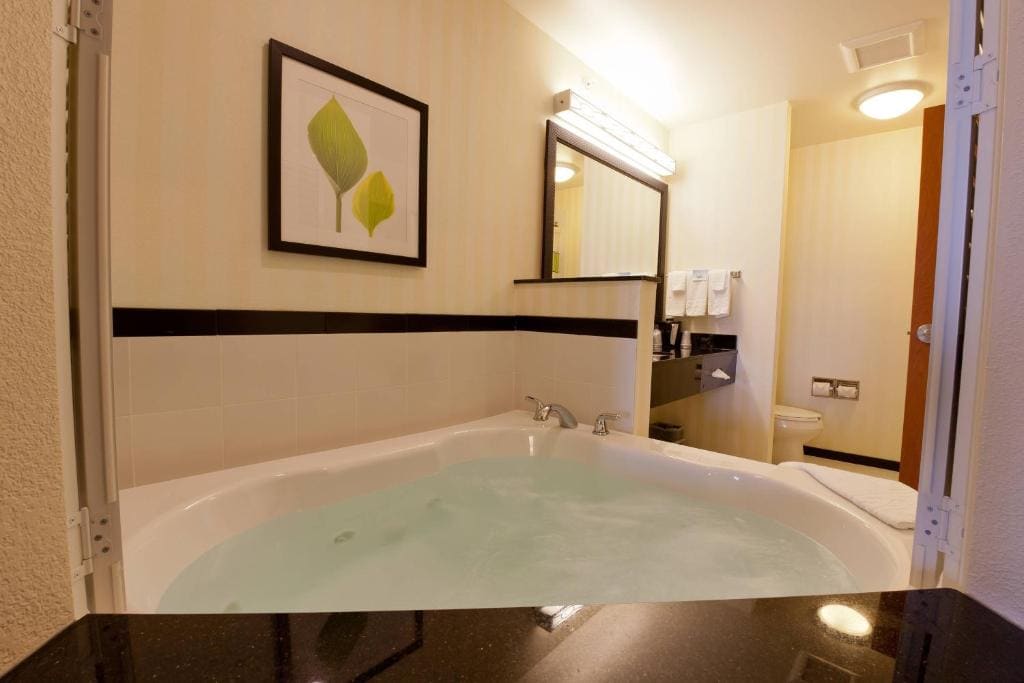 King Suite with Specialty Bathtub and Sofa Bed room - Image 3