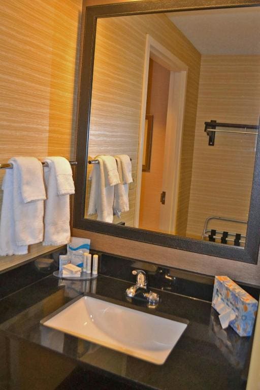 King Room with Bathtub - Mobility Access/Hearing Accessible room - Image 2