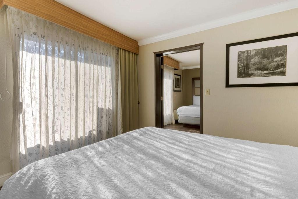 Family Suite - Disability Access room - Image 1