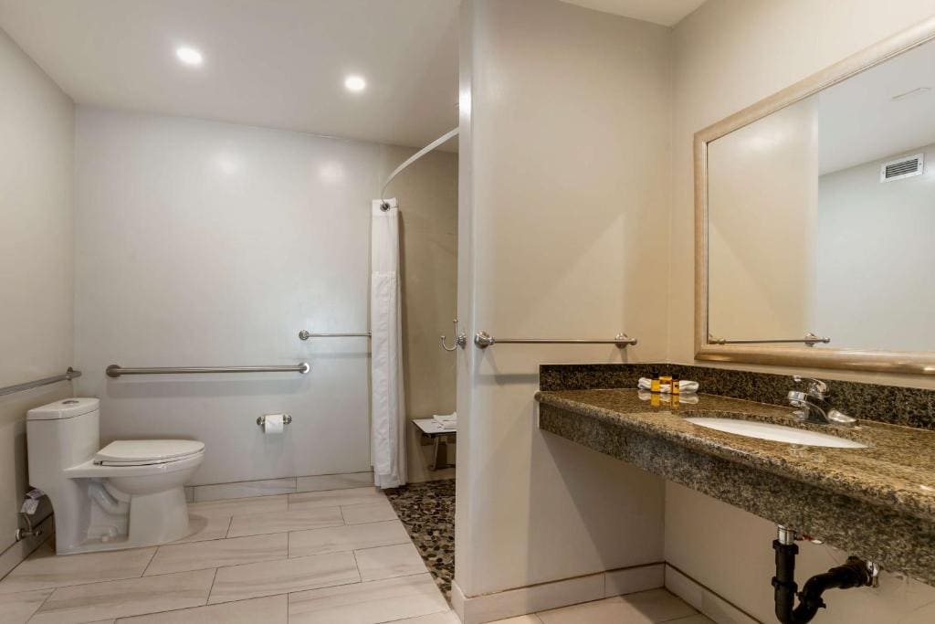 King Room - Disability Access room - Image 1