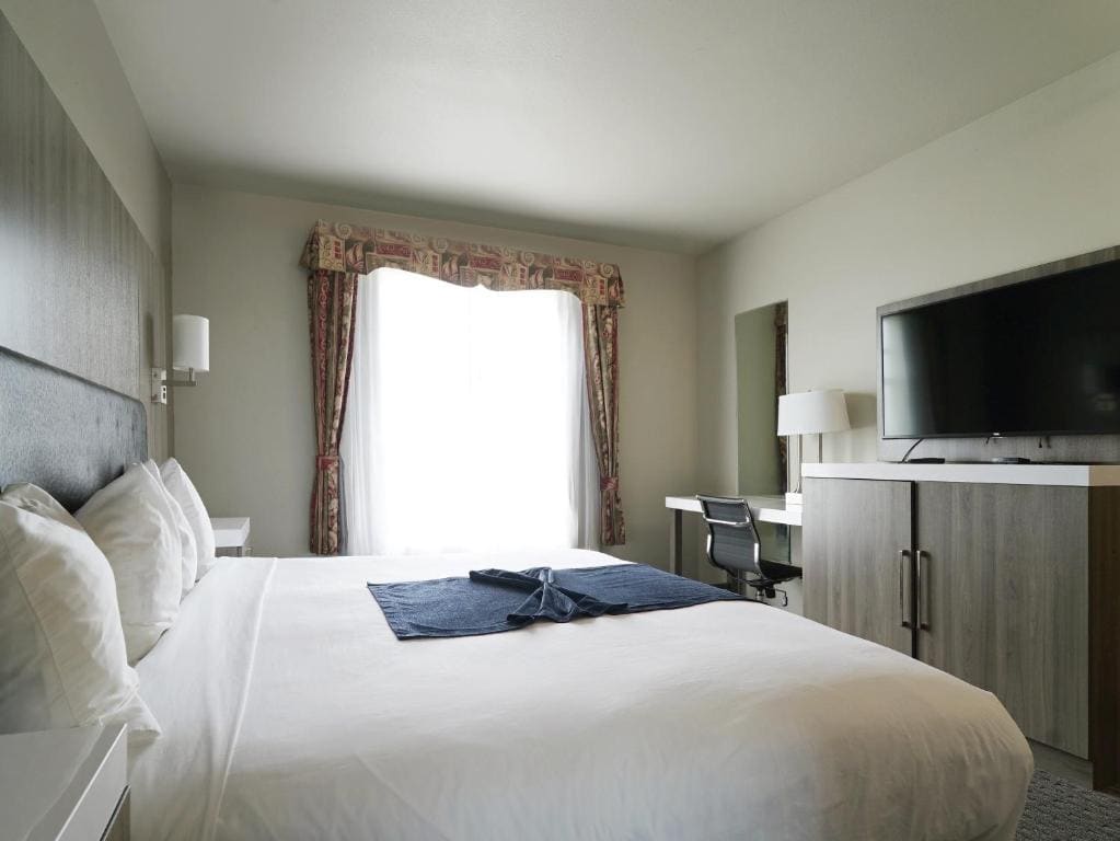 Deluxe Suite with Ocean View room - Image 2