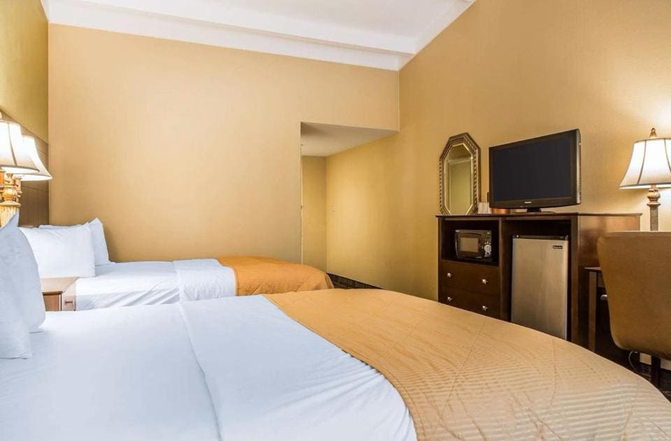 Superior Suite room - Image 1