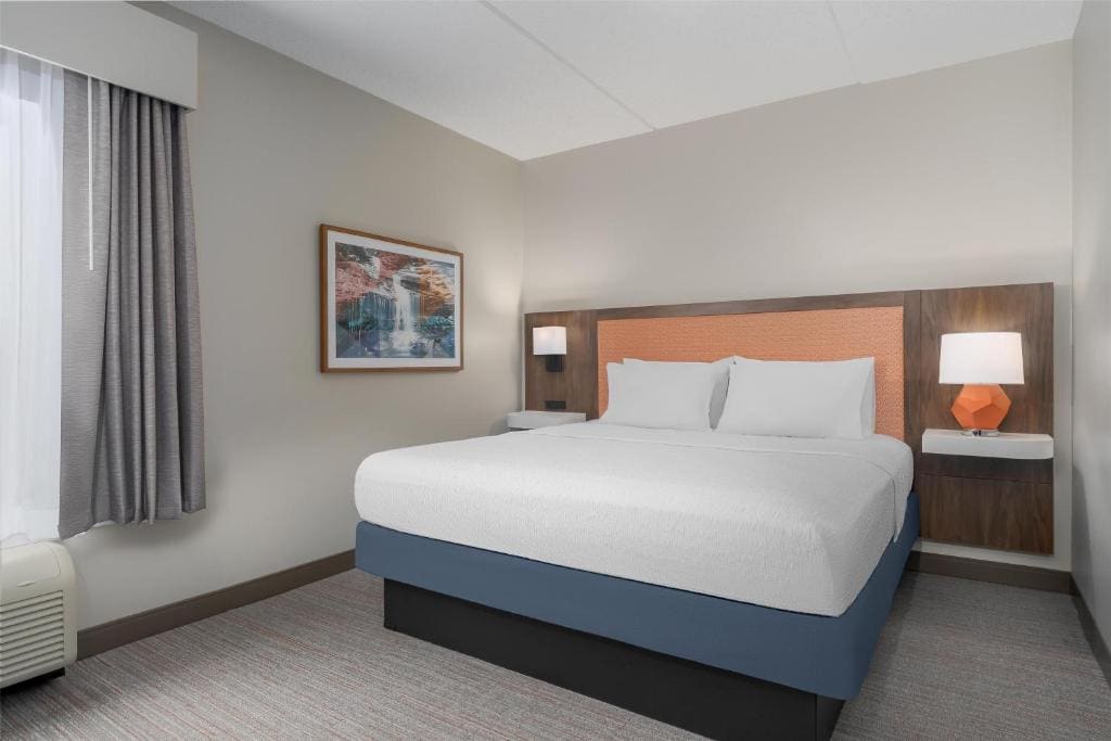 King Studio Suite with City View room - Image 2