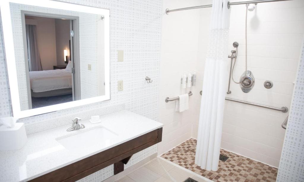 King Studio with Roll-In Shower - Mobility and Hearing Access/Non-Smoking room - Image 1
