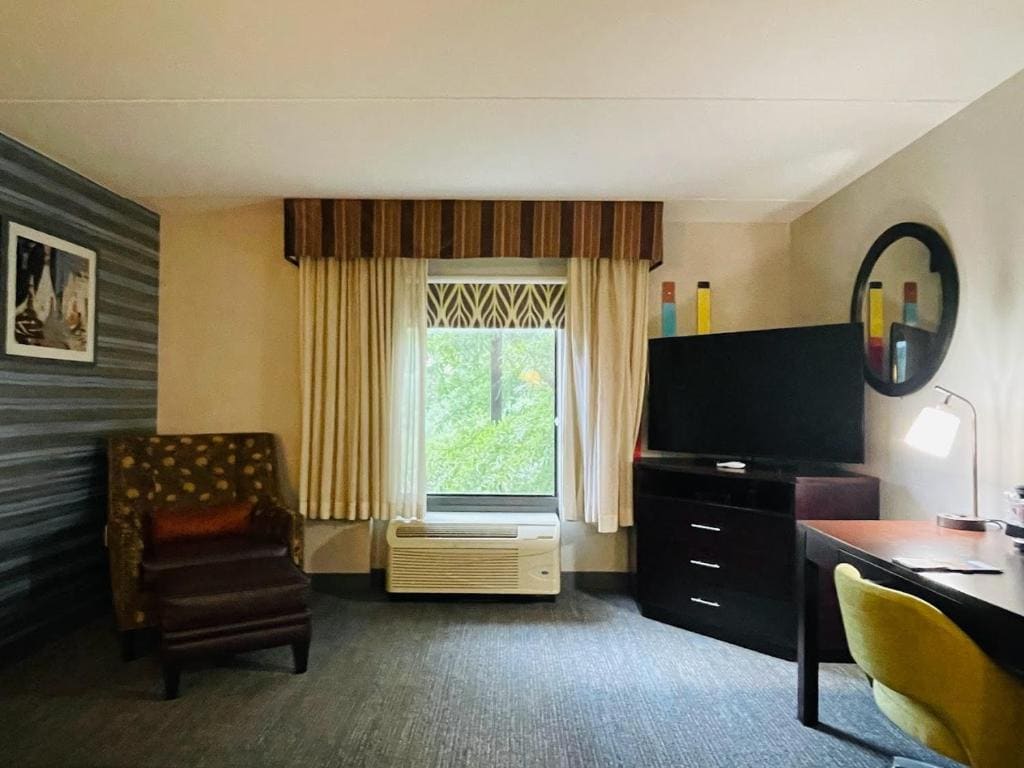 King Room with Microwave and Refrigerator - Non-Smoking room - Image 3