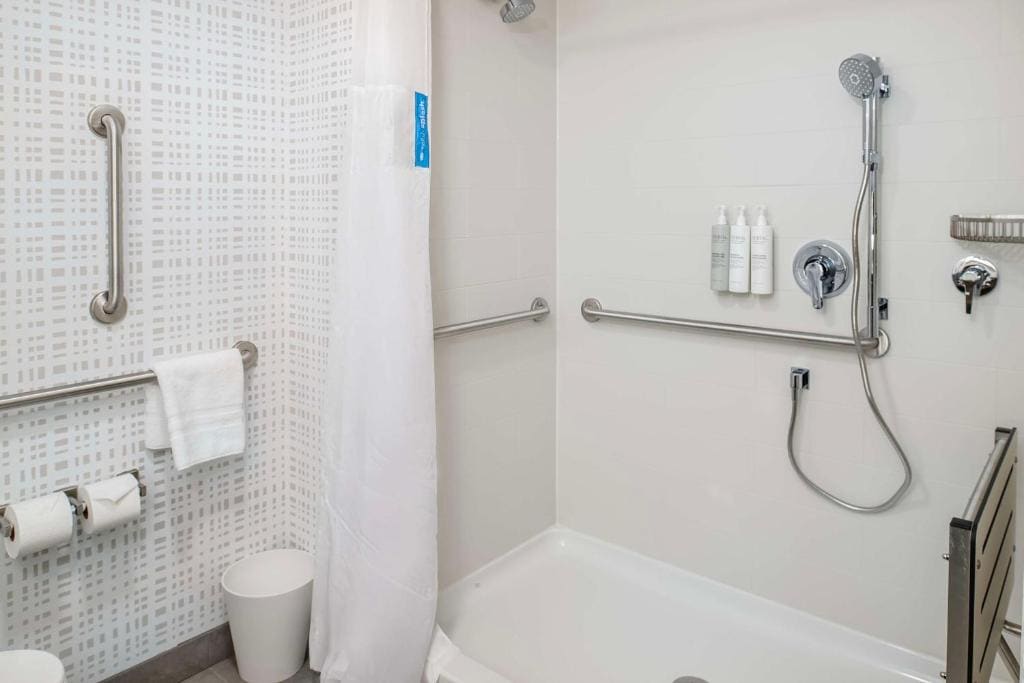 King Room with One King Bed and Transfer Shower - Mobility/Hearing Accessible room - Image 2