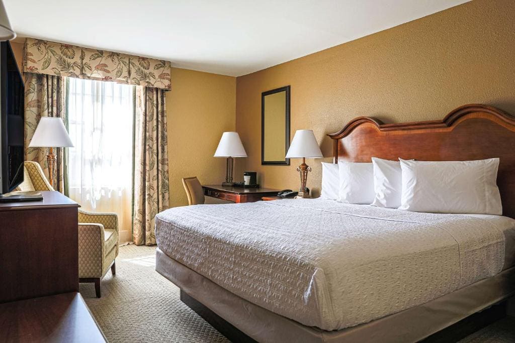 King Room with King Bed - Non-Smoking room - Image 1