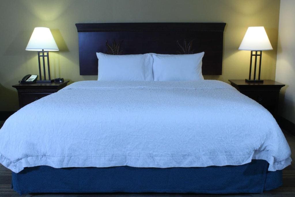 King Room with King Bed - Non-Smoking room - Image 2