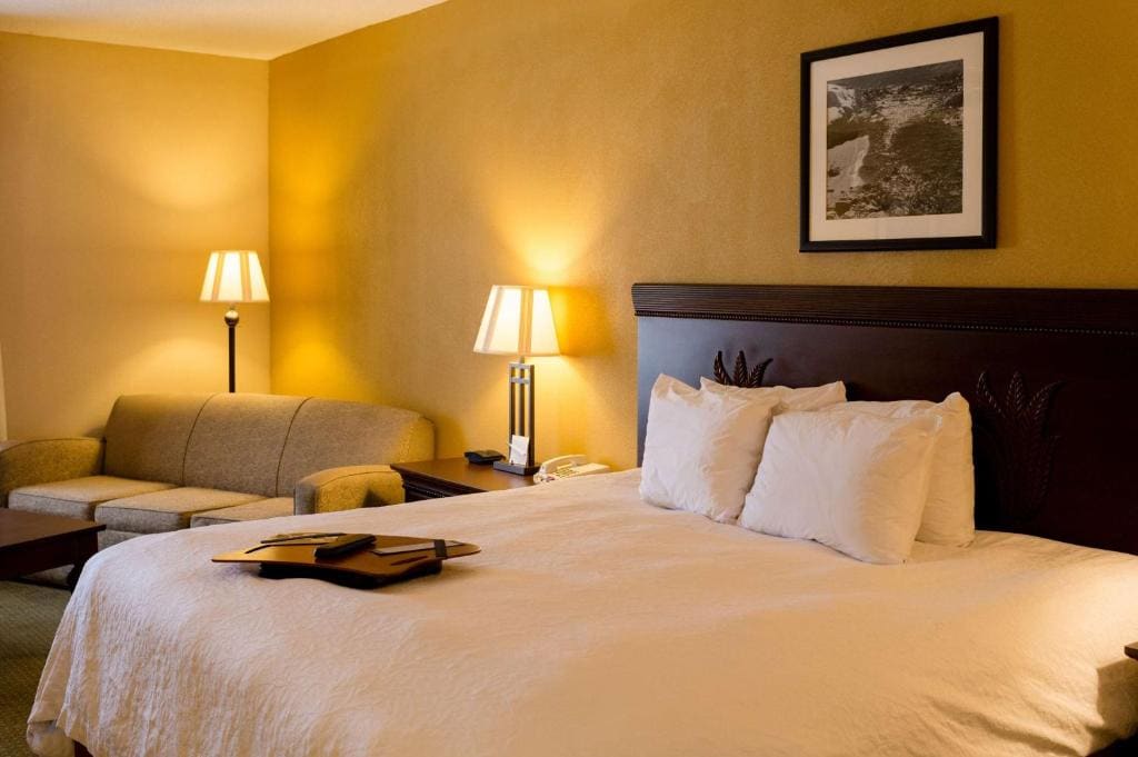 One-Bedroom King Suite - Non-Smoking room - Image 1