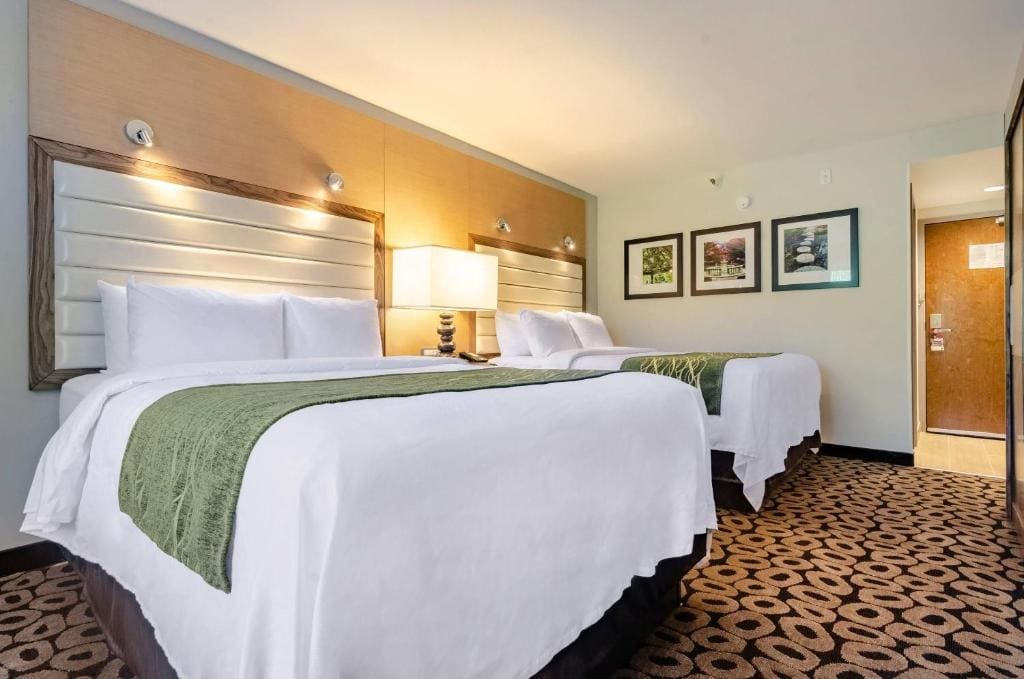 Queen Room with Two Queen Beds - Non-Smoking room - Image 1