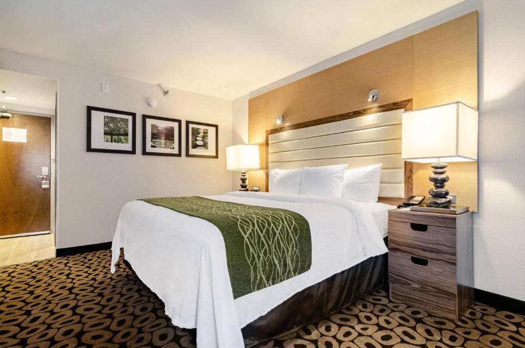 Queen Room - Accessible/Non-Smoking room - Image 1