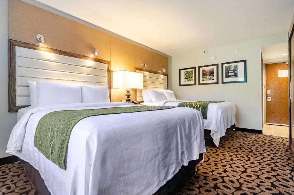 Superior Queen Room with Two Queen Beds - Non Smoking room - Image 2