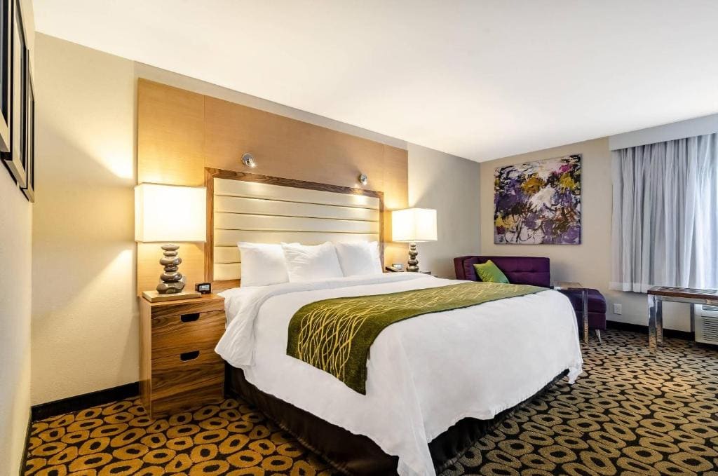 King Room with Bath Tub - Non-Smoking room - Image 1