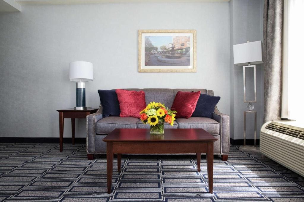 King Studio Suite with Sofa Bed - Non-Smoking room - Image 2