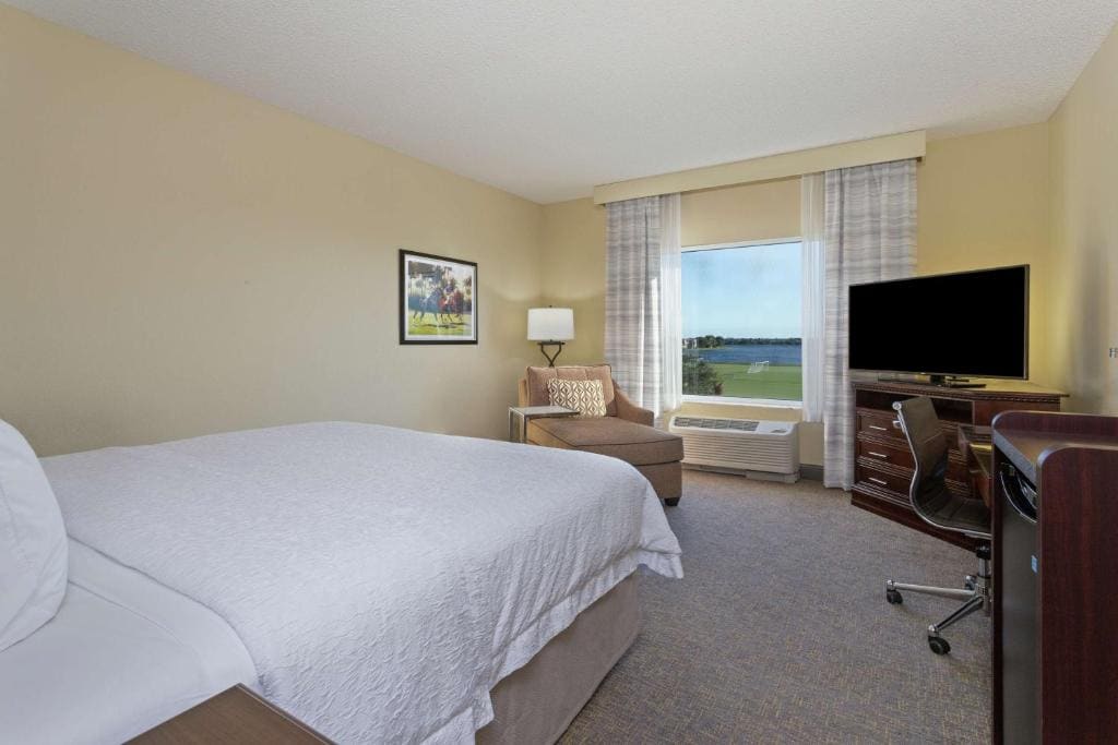 King Room with Lake View - Non-Smoking room - Image 1