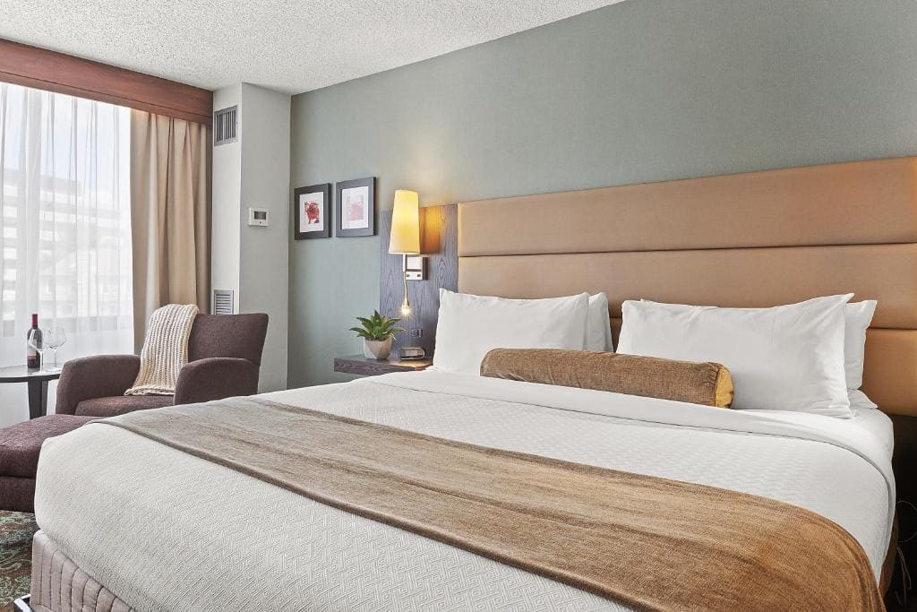 Executive Suite room - Image 1