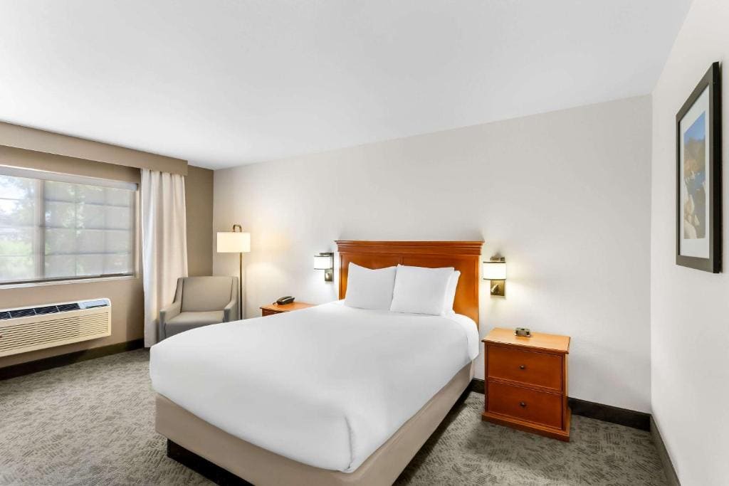 Standard Queen Room - Non Smoking room - Image 1