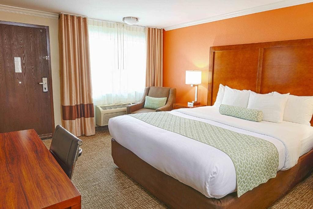 King Room - Handicap Accessible/Non-Smoking room - Image 2