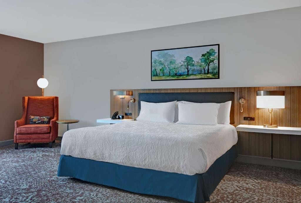 Deluxe King Room - Mobility Access room - Image 1