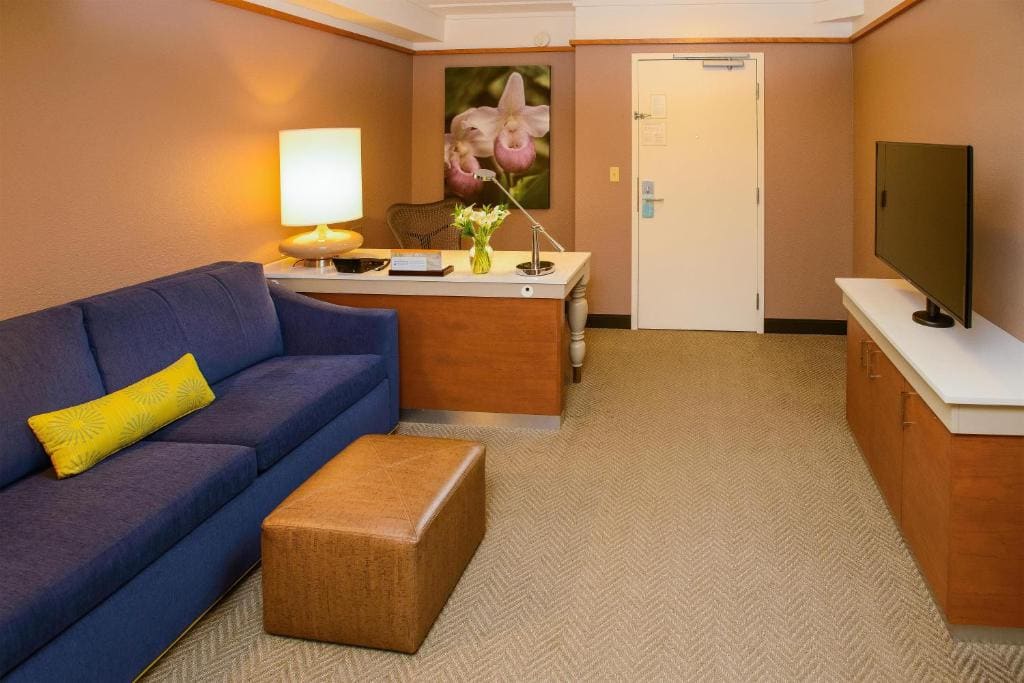 Junior King Suite with Seating Area room - Image 1