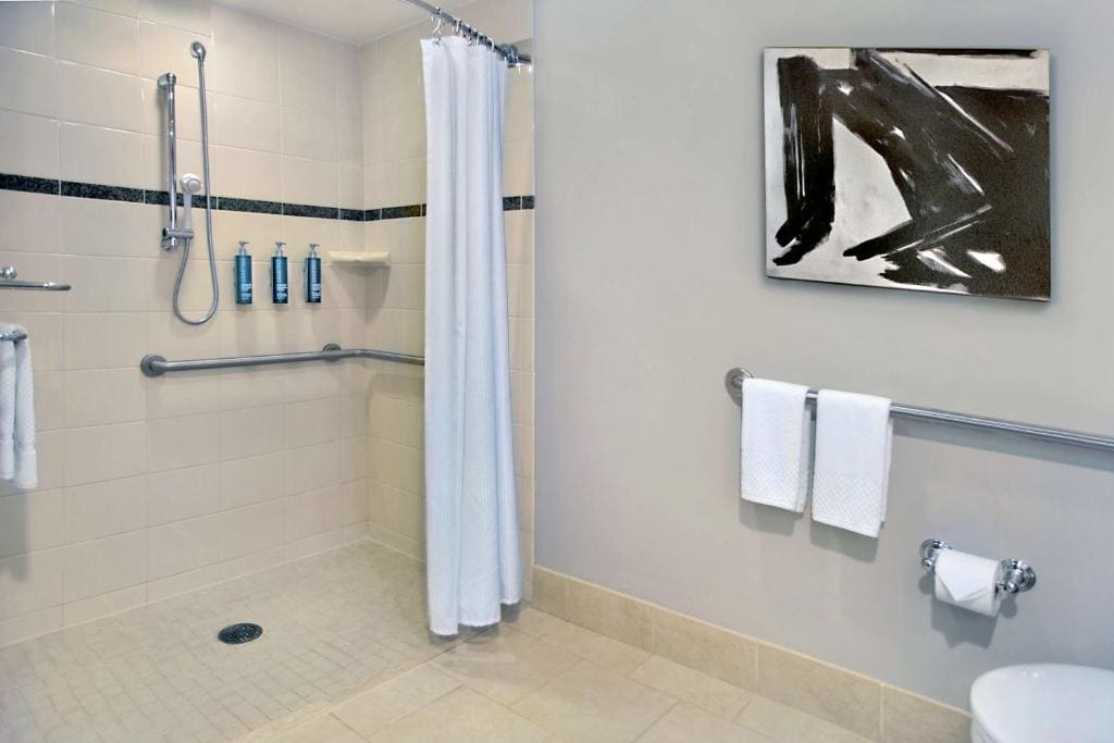 Deluxe King Room with Roll-In Shower - Mobility and Hearing Access/Non-Smoking room - Image 1