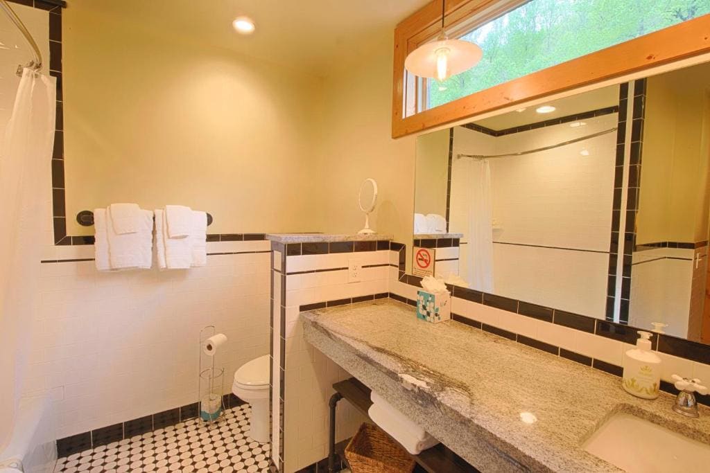Chilhowee Cabin 2 room - Image 3
