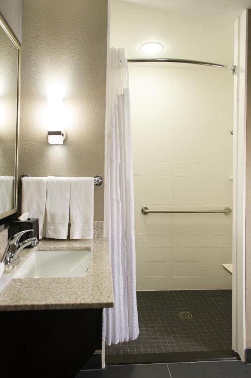 King Room - Hearing Accessible - Roll-in Shower room - Image 1