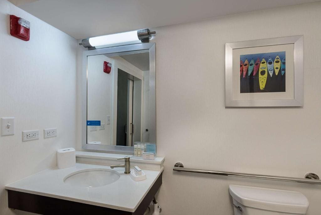 King Room with Roll-In Shower - Mobility and Hearing Access/Non-Smoking room - Image 2