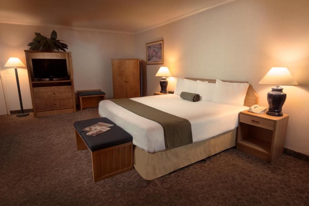 The Redwood King Suite room - Image 1