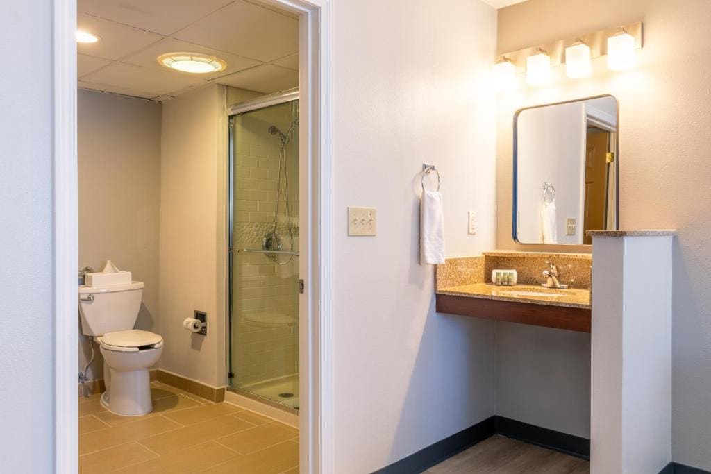 King Suite with Walk-In Shower and Sofa Bed - Disability/Non-Smoking room - Image 3