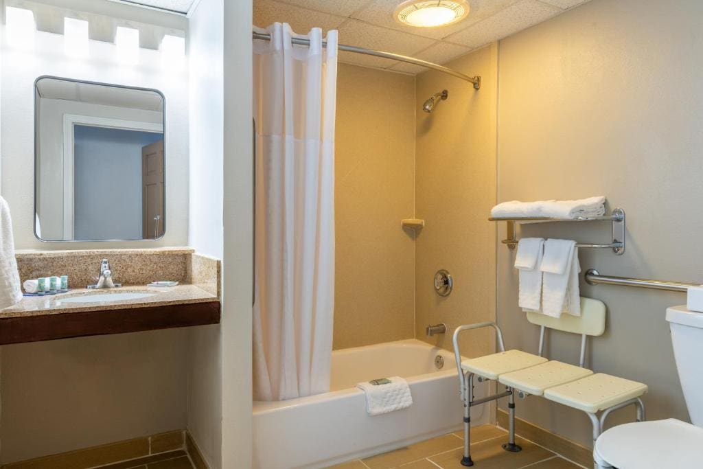 King Room with Bath Tub - Mobility Accessible/Communication Assistance room - Image 3