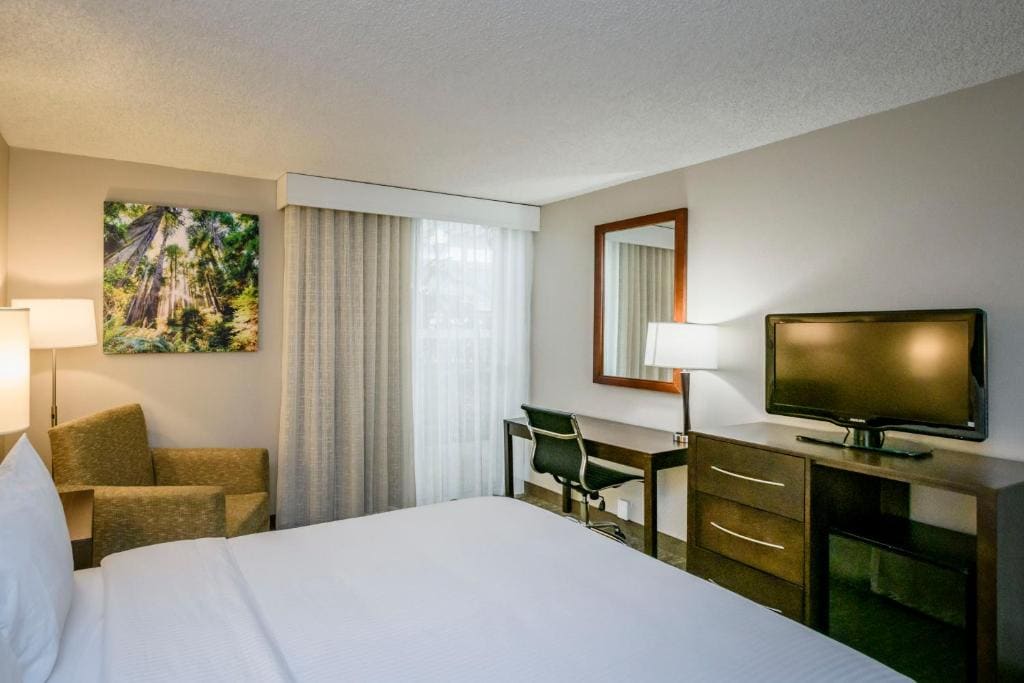 King Room - Non-Smoking room - Image 2