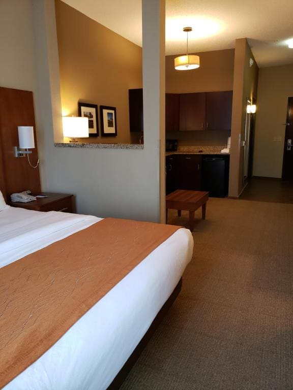 Efficiency King Suite - Non-Smoking room - Image 1