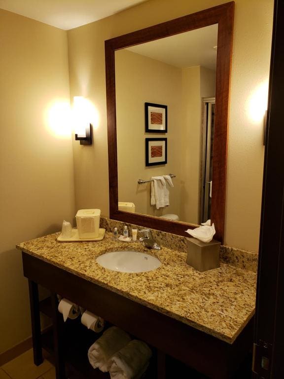 Efficiency King Suite - Non-Smoking room - Image 3